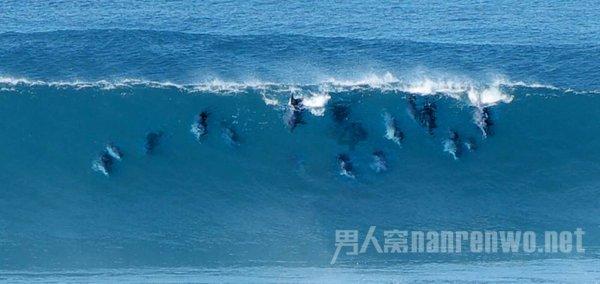 东南交通大学还是华东交通大学好-网上热点讨论平台